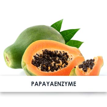 Wirkstoff Papaya Enzyme