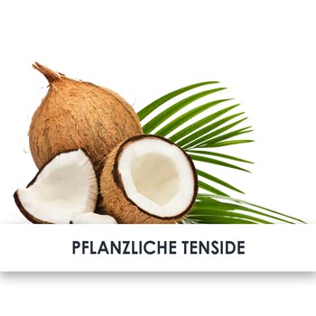 pflanzliche tenside übersicht