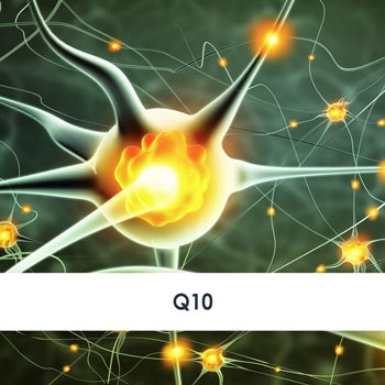 q10 übersicht