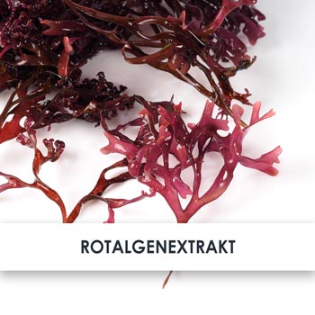 Wirkstoff Rotalgenextrakt