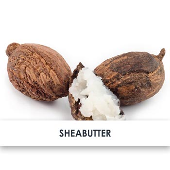 sheabutter übersicht