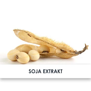 Wirkstoff Sojaextrakt