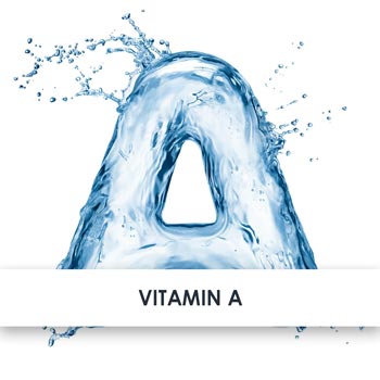 vitamin a übersicht