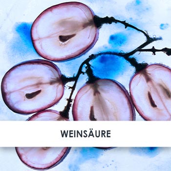 weinsäure übersicht
