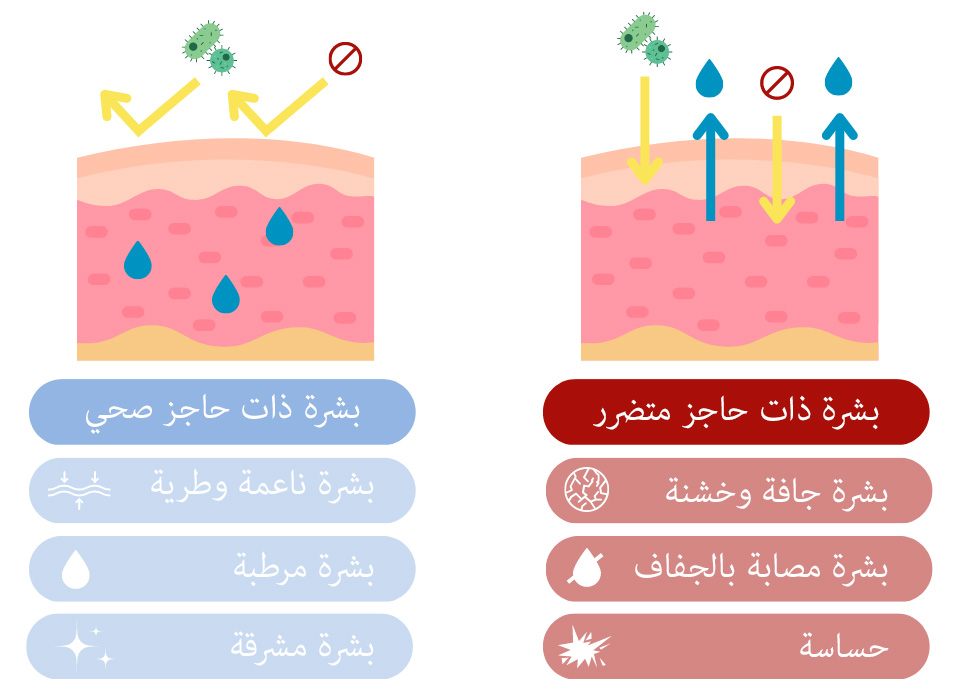 أسباب جفاف البشرة أسباب الحكة الجلدية والإكزيما
