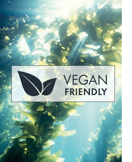 Vegan Skincare Vegan beauty products