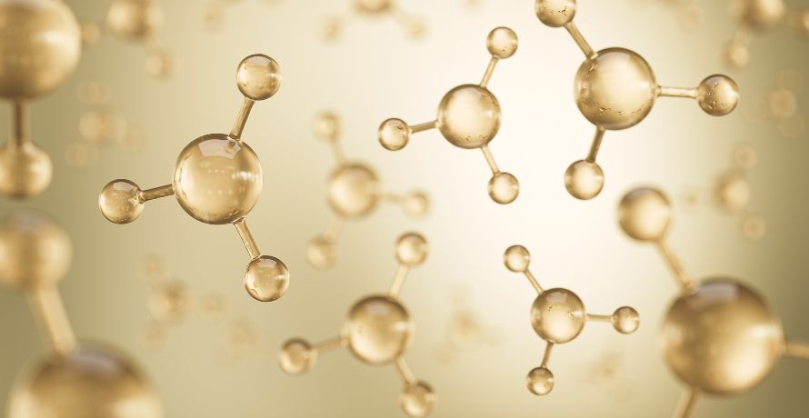 Amino acids benefits