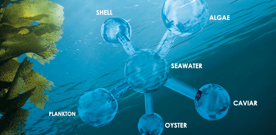 Celumer Marine Extract