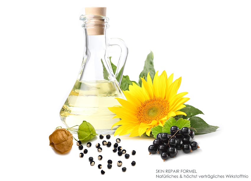 Ballonrebe, schwarze Johannisbeere & Extrakte der Sonnenblume als verträgliche Wirkstoffe für empfindliche Haut