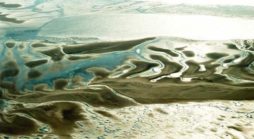 Schutzstation Wattenmeer e.V. Conserve and Protect the Wadden Sea