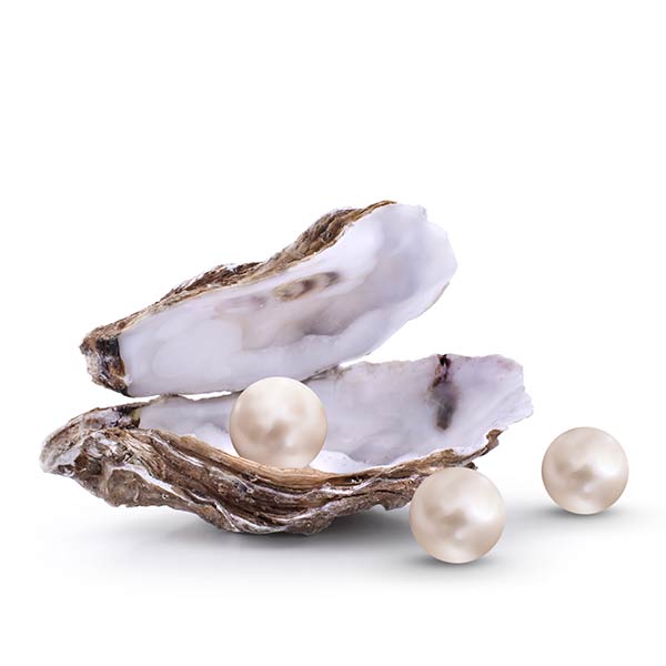 Oysters – for a matte complexion, healthy cell protection & beautiful supple skin