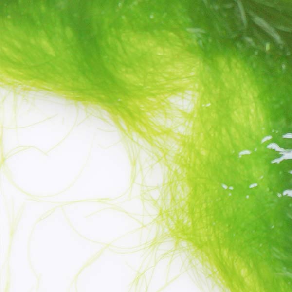 Green algae skin care benefits