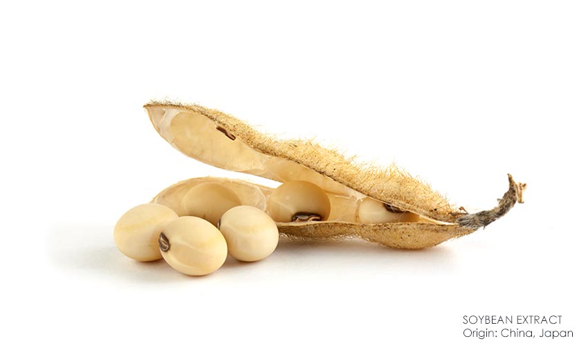 Soybeans are natural active ingredients that help the skin regenerate