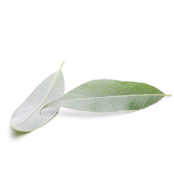 salicylsäure
