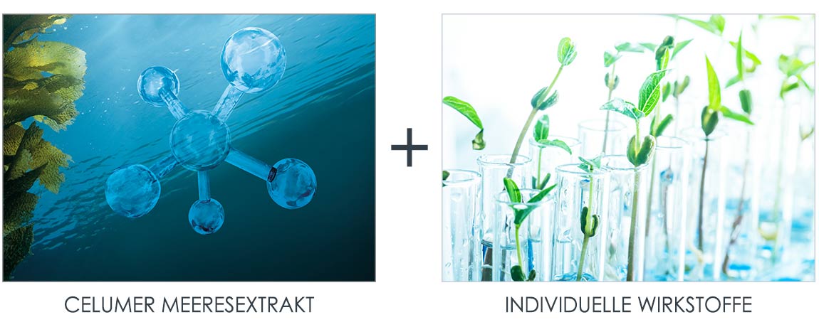 Celumer Meeresextrakt in unseren Anti-Aging Produkten Jedes Serum oder Konzentrat von Dalton enthält den Celumer Meeresextrakt