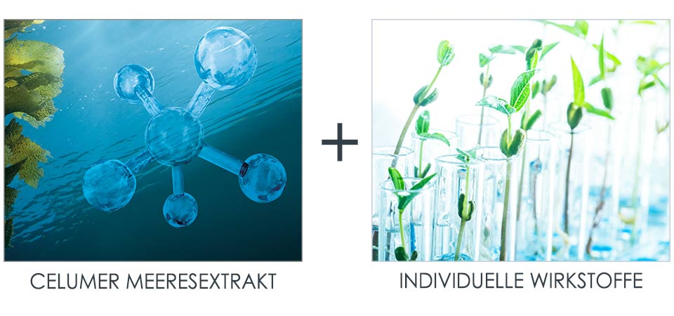 Celumer Meeresextrakt in unseren Anti-Aging Produkten Jedes Serum oder Konzentrat von Dalton enthält den Celumer Meeresextrakt