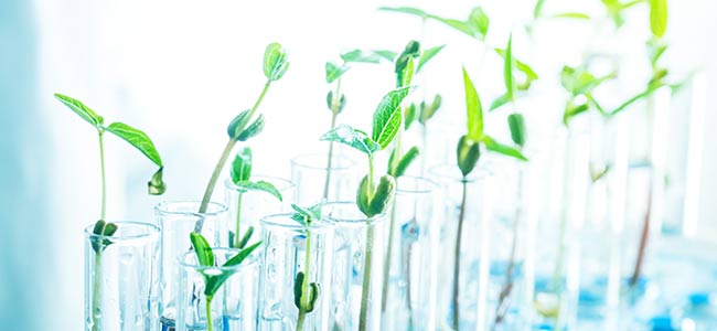 Ingredients library Dalton skincare ingredients