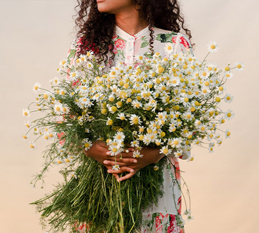 Benefici del bisabololo in cosmetica