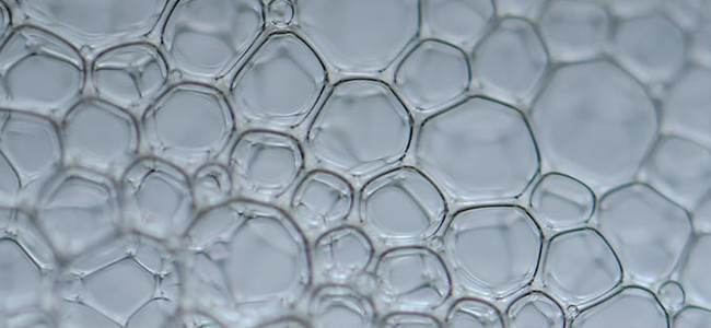 Mikrobiom Mikrobiom und Hautgesundheit