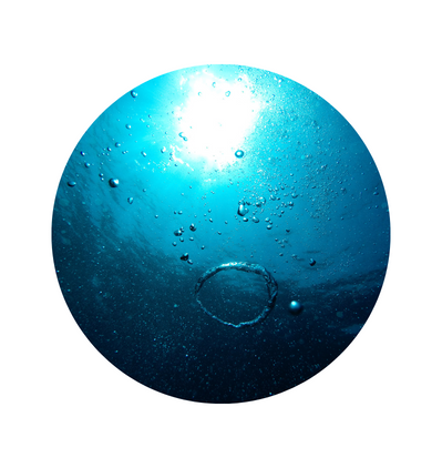 The history of DALTON History of DALTON Marine Cosmetics