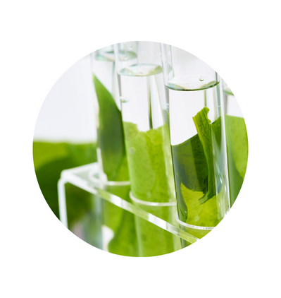 Our Ingredients DALTON Ingredients