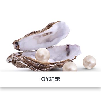 Oyster Skincare Benefits