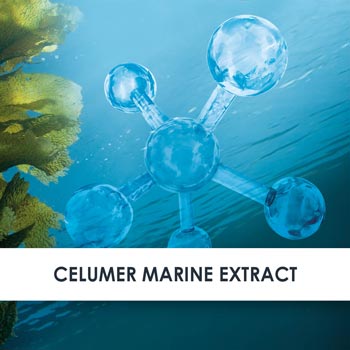 Active Ingredient Celumer Marine Extract 