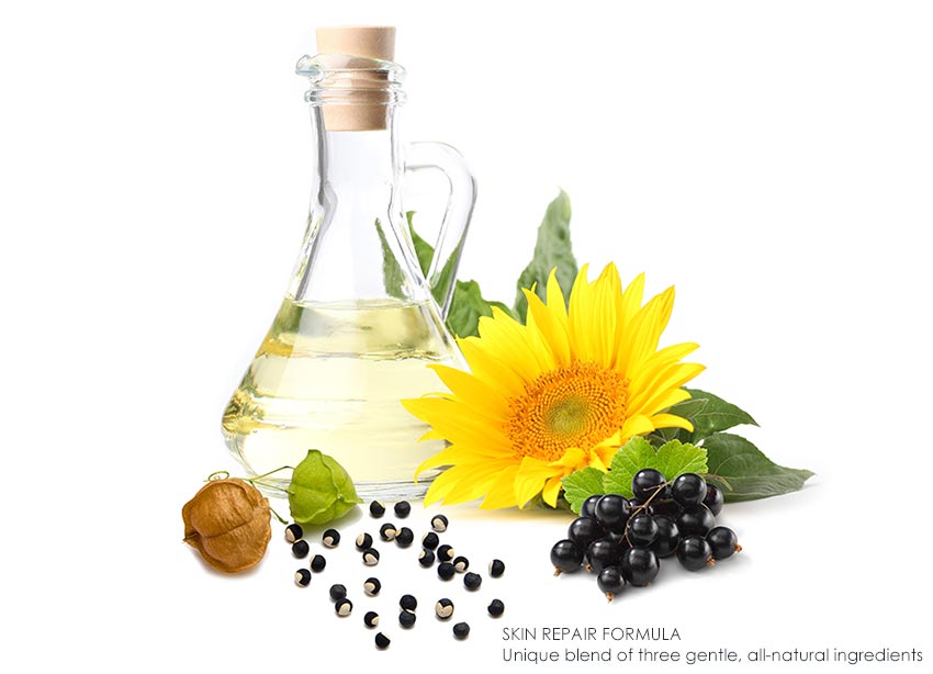 Balloon vine, blackcurrants & sunflower extract – gentle ingredients for sensitive skin