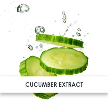 Cucumber Extract Skincare Benefits