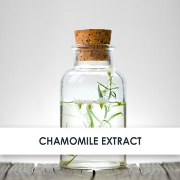 Chamomile Extract Skincare Benefits