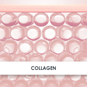 Collagen Skincare Benefits