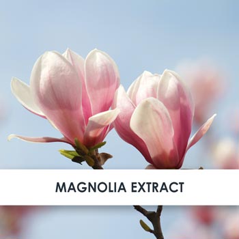 Magnolia Skincare Benefits