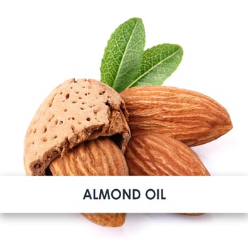 Active Ingredient Almond Oil
