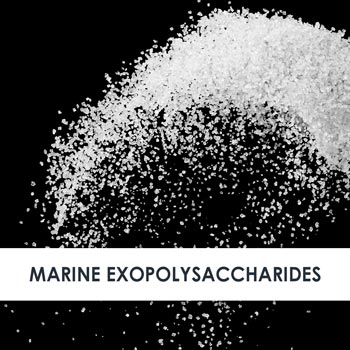 Marine Exopolysaccharides Skincare Benefits