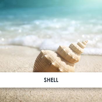Shell Skincare Benefits