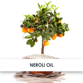 Neroli Oil Skincare Benefits