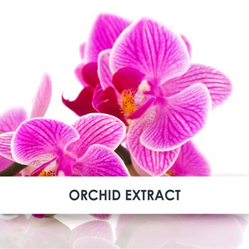 Orchid Skincare Benefits