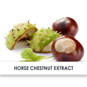 Horse Chestnut Skincare Benefits