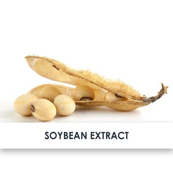 Soybean Skincare Benefits