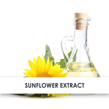 Sunflower Extract Skincare Benefits