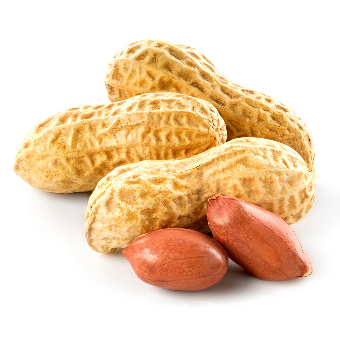 erdnussöl