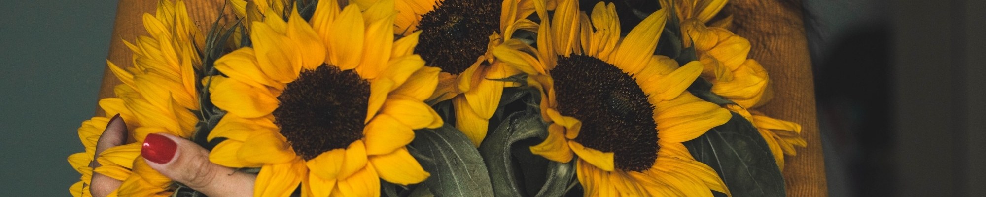 Wirkung von Vitamin E So wirkt Tocopherol auf die Haut