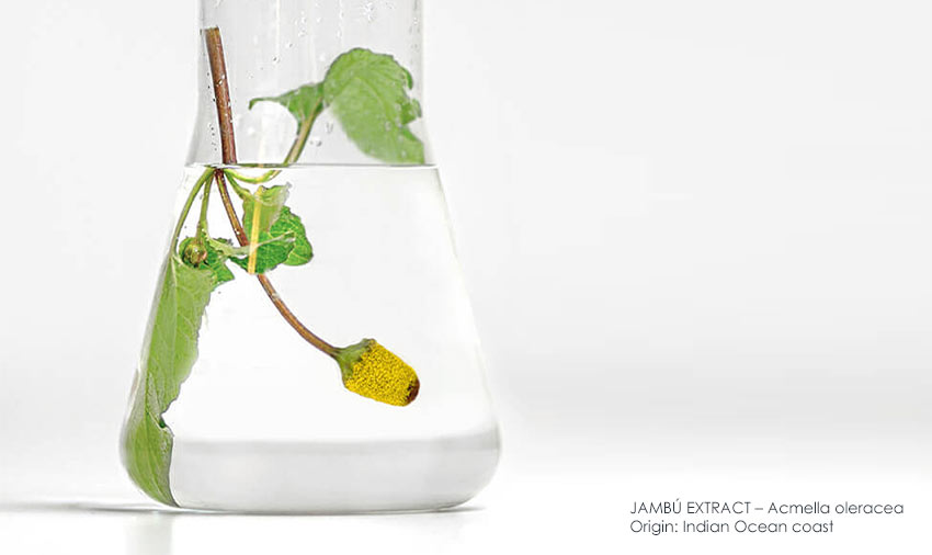 Wrinkle-reducing jambú extract – natural botox alternative