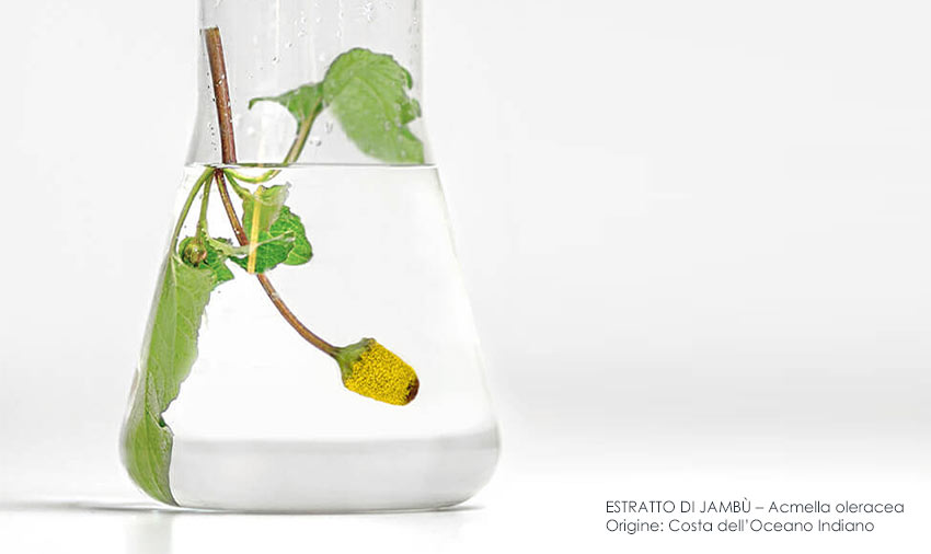 Estratto di jambù dalle proprietà antirughe Estratto di jambù dalle proprietà antirughe – l’alternativa naturale al botox