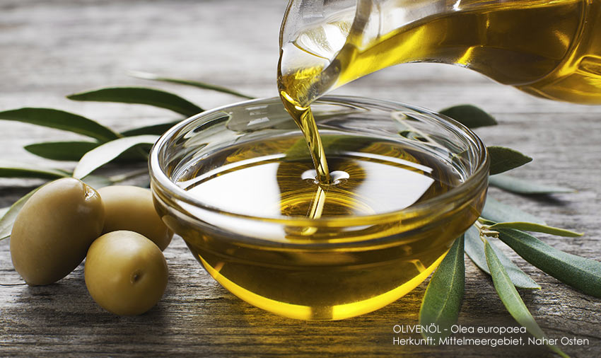 Rundum versorgte Haut Dank Olivenöl