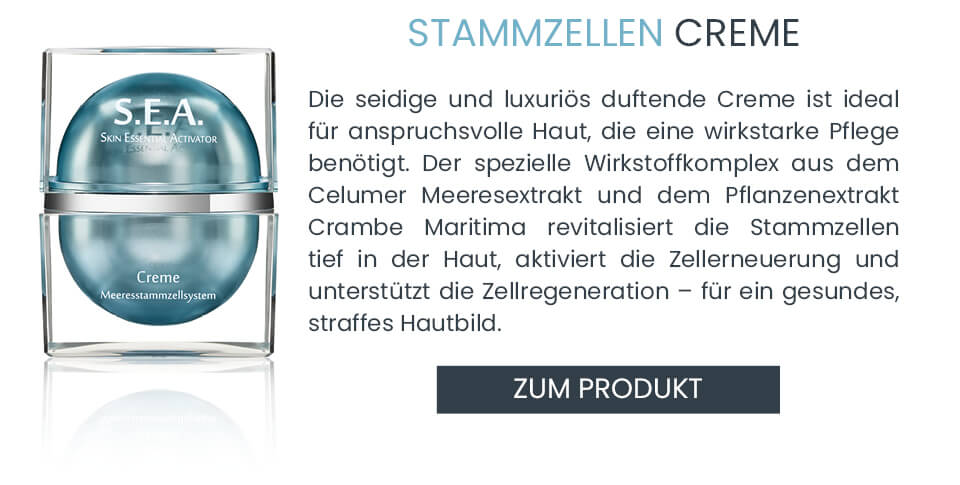 Anti-Aging Stammzellen S.E.A. Creme