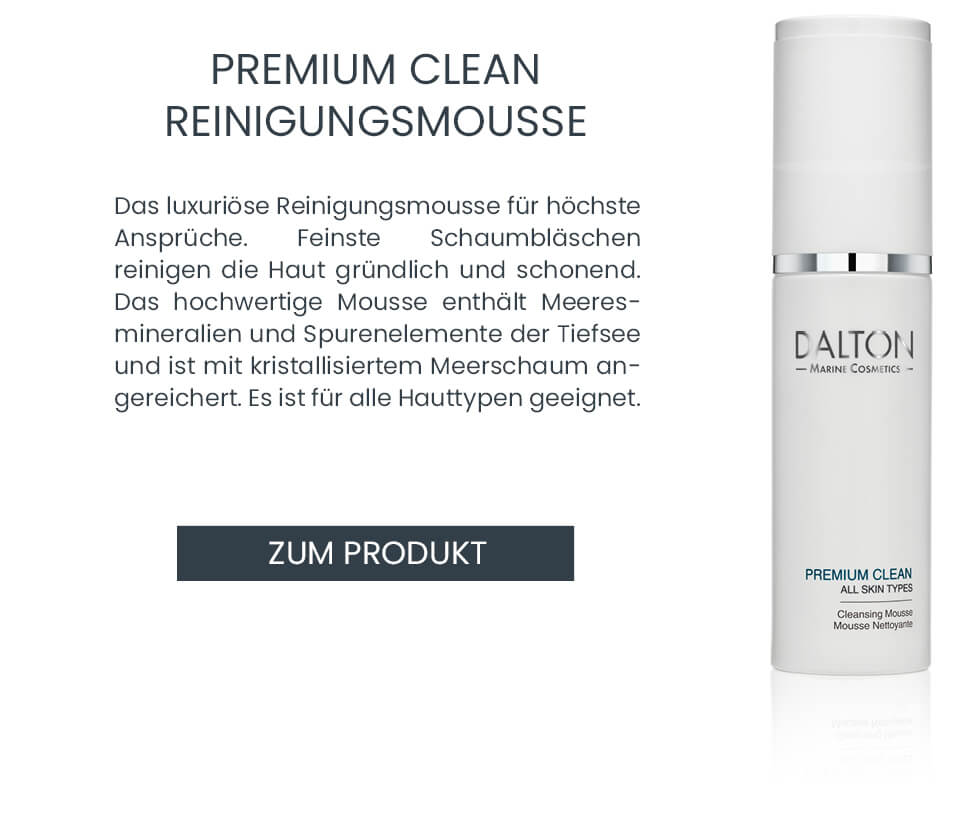 Premium Clean Reinigungsschaum