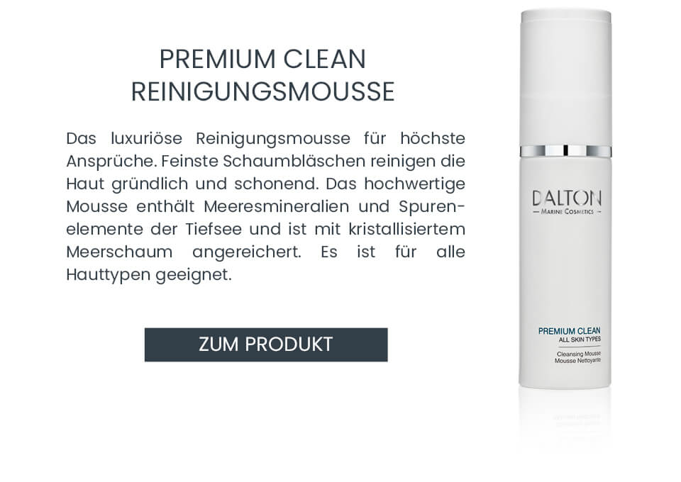 Premium Clean Reinigungsschaum