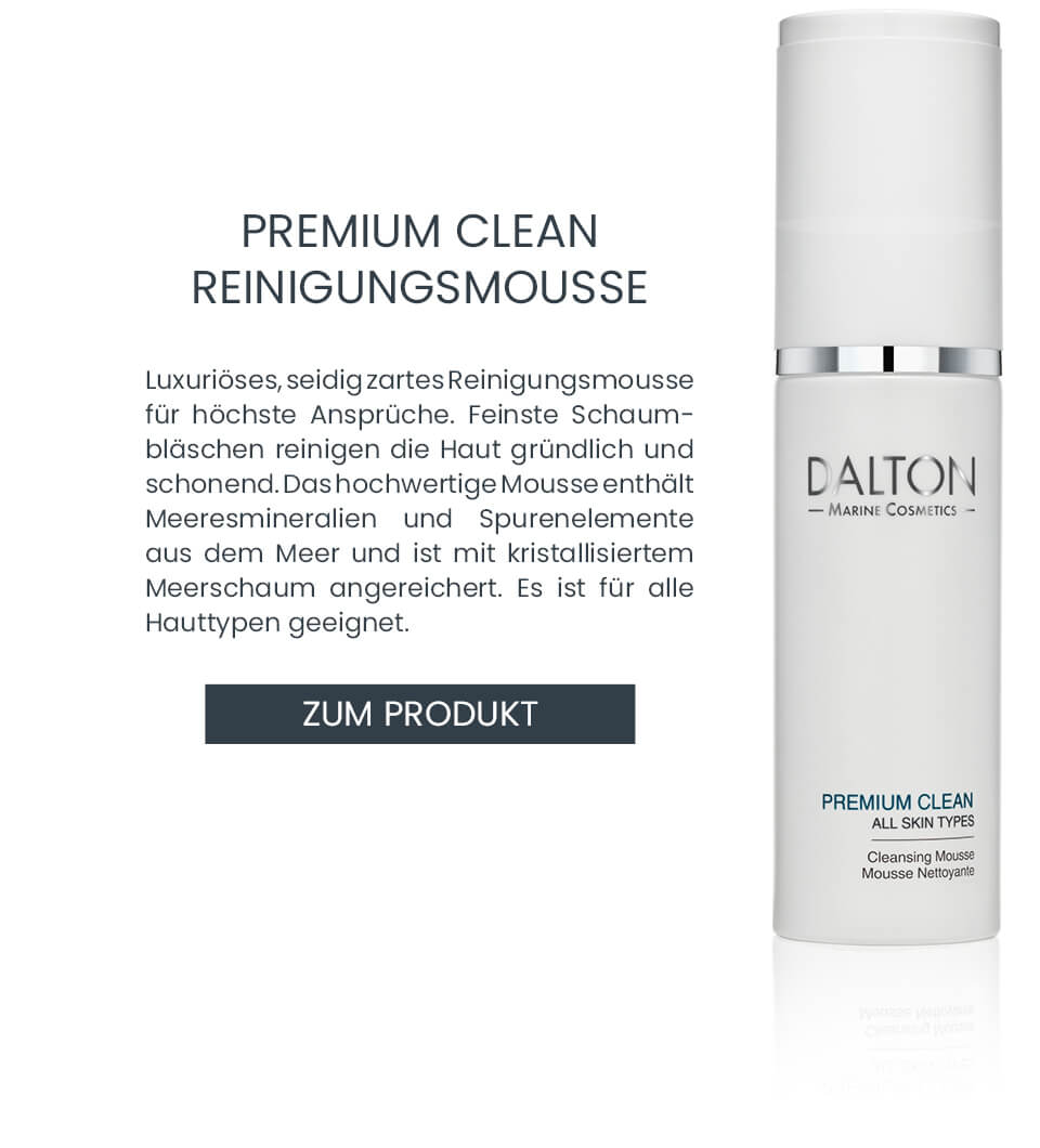 Premium Clean Reinigungsmousse