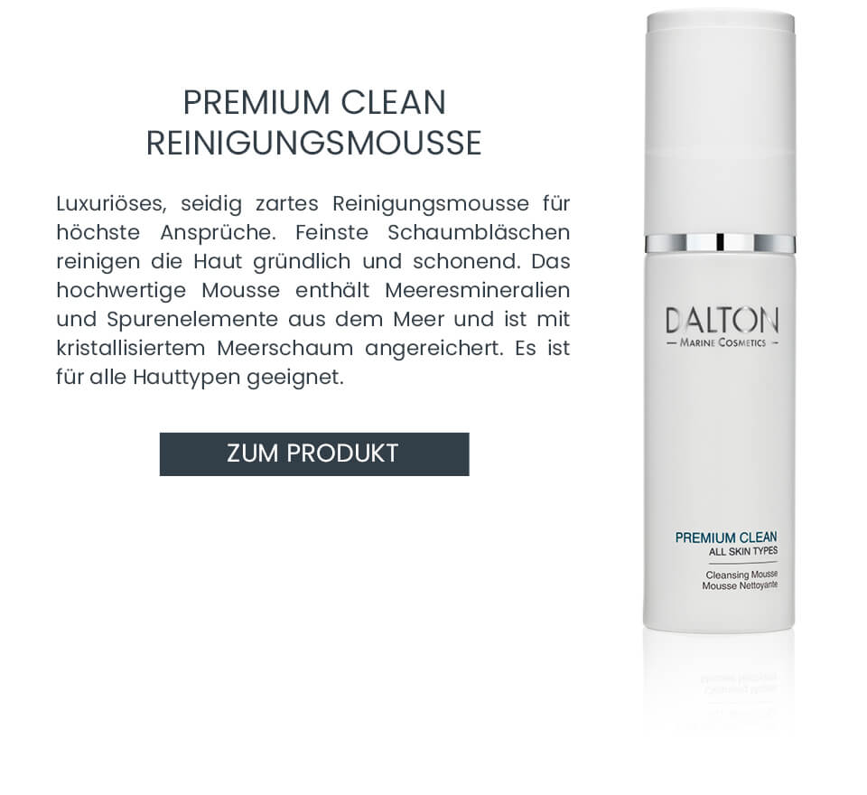 Premium Clean Reinigungsmousse